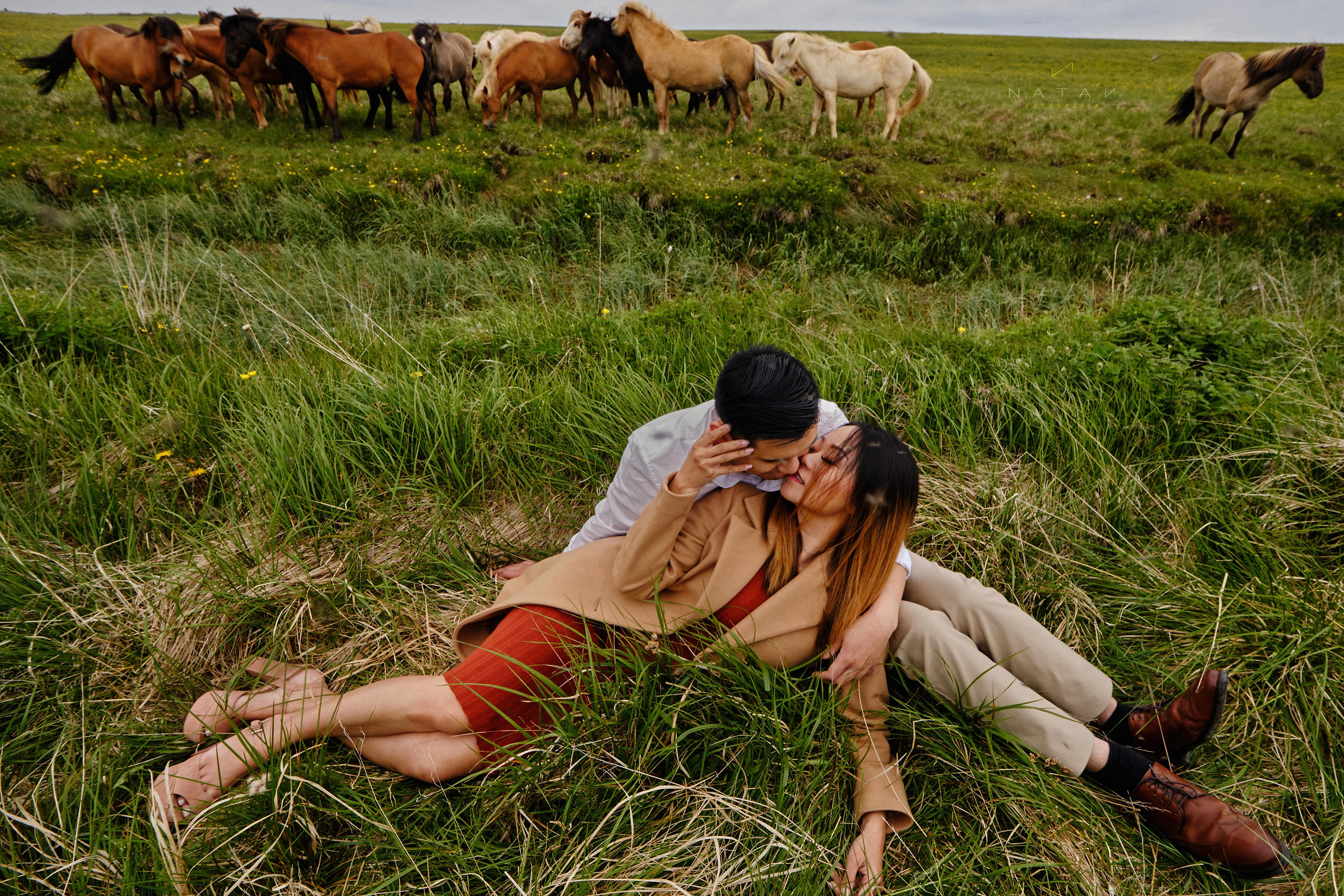 Elopement Iceland Photographer, with horses